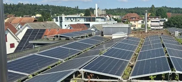 Begrüntes Flachdach mit mehreren langen Reihen aufgeständerter Solarmodule bei blauem Himmel; zwischen und unter den Modulen wächst die Dachbegrünung, dahinter die Dächer des Dorfes